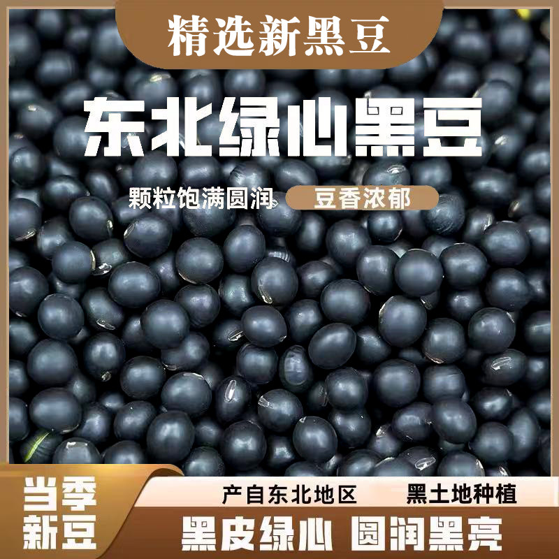 老品种5斤东北绿芯黑豆绿仁芯黑豆新货农家自产绿心五谷杂粮醋泡,粮油调味/速食/干货/烘焙,黑豆,淘宝优惠券,粉丝福利购,淘宝优惠卷