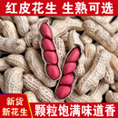 新鲜红皮带壳生花生四粒红花生米农家自种晒干货高产种子红皮花生