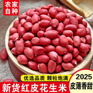 2025年新红皮花生米新鲜农家生花生晒干不带壳小花生原味下酒包邮