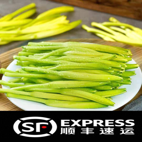 【顺丰包邮】黄花菜新鲜现摘金针菜时令当季蔬菜凉拌菜酒店食材