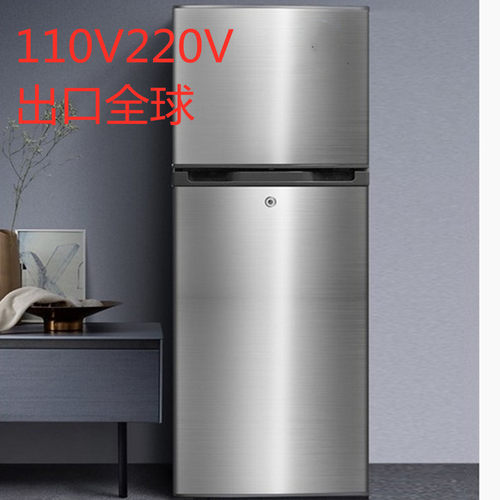 冰柜冻还看今朝冰箱110V220V出口