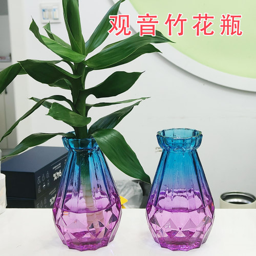 观音竹绿萝铜钱草水培透明玻璃瓶子阳台植物花卉盆栽小号花瓶花盆