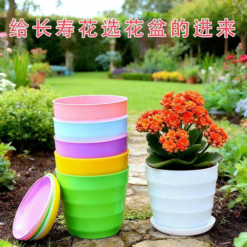 花盆塑料盆多肉大号家用绿萝长寿花带托盘螺纹吊兰树脂家用小花盆