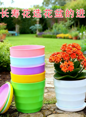 花盆塑料盆多肉大号家用绿萝长寿花带托盘螺纹吊兰树脂家用小花盆