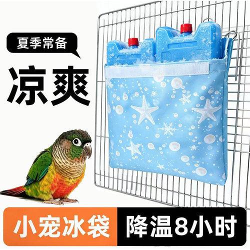 鹦鹉降温空调房冰窝屋