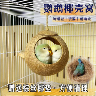 鹦鹉鸟窝牡丹虎皮防咬夏天悬挂窝玄凤睡觉房屋小太金阳椰子壳鸟巢