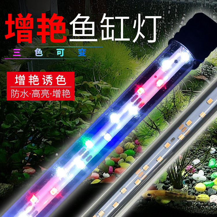 鱼缸灯led灯防水水中灯多少钱 鱼缸灯led灯防水水中灯优惠券免费领取 有条鱼