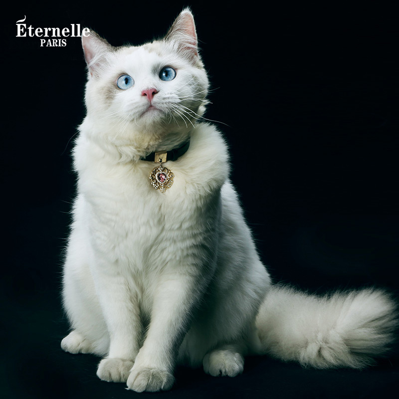 eternelle法国水晶猫咪银饰吊坠