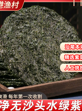 福建漳浦头水紫菜绿菜无沙免洗
