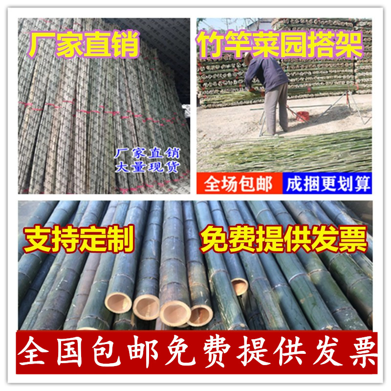 粗细竹竿竹子竹筒竹杆防腐包邮新鲜青竹菜架竹旗杆横幅杆装修竹竿