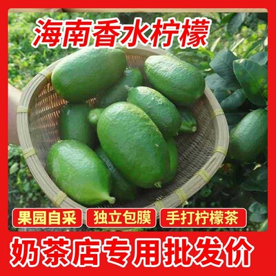 正宗无籽香水柠檬海南奶茶店商用批发鲜果大果薄皮柠檬新鲜柠檬