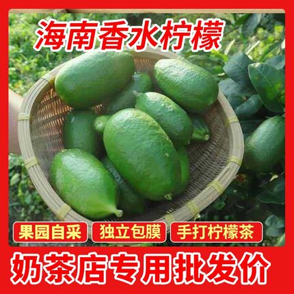 正宗无籽香水柠檬海南奶茶店商用批发鲜果大果薄皮柠檬新鲜柠檬