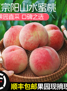 阳山水蜜桃高甜特级无锡自种