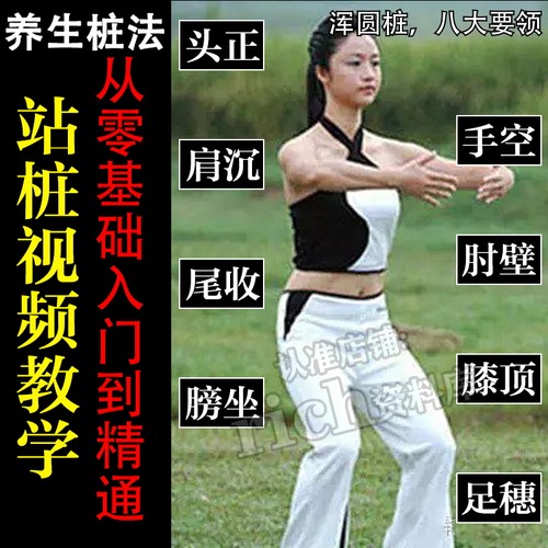 站桩视频教程 站桩原理技巧要点详解 零基础自学养生桩浑圆桩教