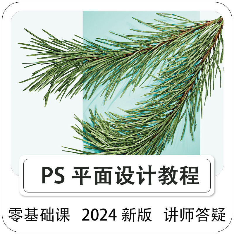 【平面设计】PS视频教程2025零基础pohtoshop课淘宝电商美工包装