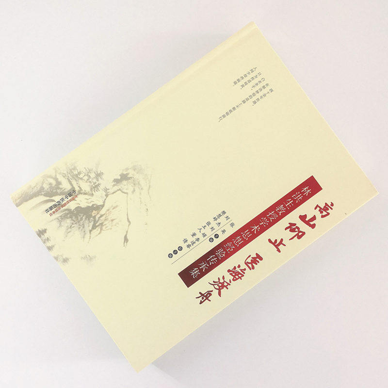 正版 现货  高山仰止　医海渡舟 : 林洪生教授学术思想经验传 张英 主编 中国中医药出版社