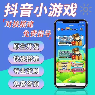 抖音快手小游戏广告项目开发运营高收益变现专业团队陪跑流量主