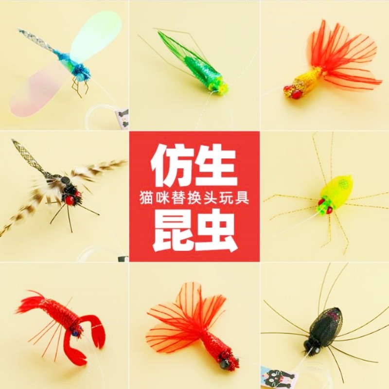 新品仿真昆虫逗猫棒替换头仿生飞虫蜻蜓蜘蛛猫猫玩具自嗨宠物用品