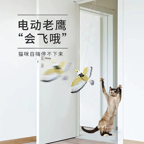 会飞的鹦鹉老鹰电动猫玩具