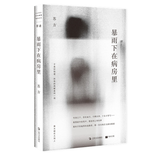 现货正版新书 暴雨下在病房里 单读书系015 苏方短篇小说集收录 现当代文学 另著一些时刻/异乡记 上海文艺出版社