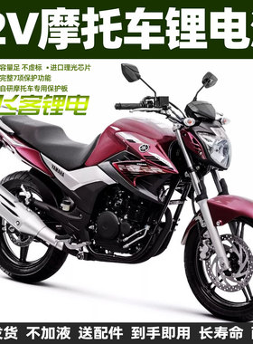 12V摩托车电瓶适用于雅马哈250飞致YS250天剑王YBR250天隼锂电池