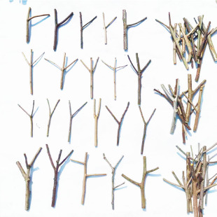 天然树枝树杈DIY手工制作幼儿园创意装饰儿童原木树叉干树枝树干