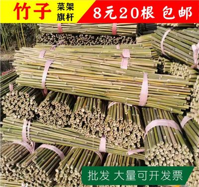 竹子竹竿竹杆篱笆菜架竹
