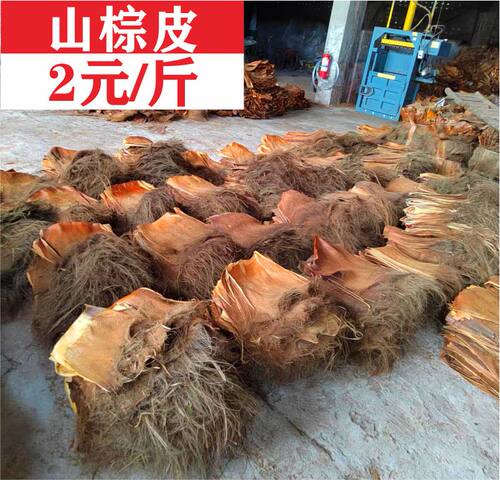 棕片棕毛树皮棕板蓑衣鲈鱼产卵用产巢蛋床奎衣盖屋顶房子过滤保湿 - 封面