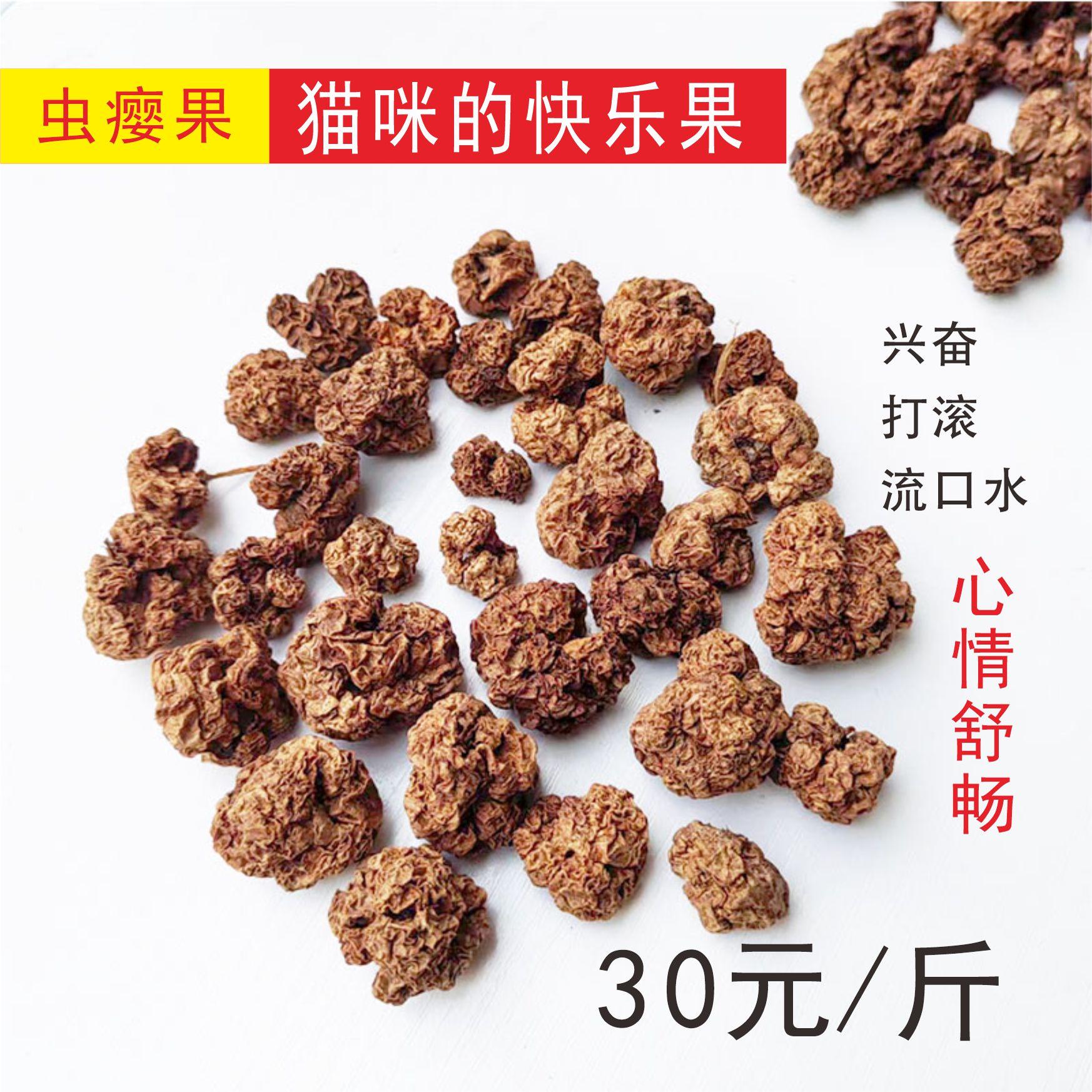 猫咪零食磨牙木天蓼果实虫瘿果