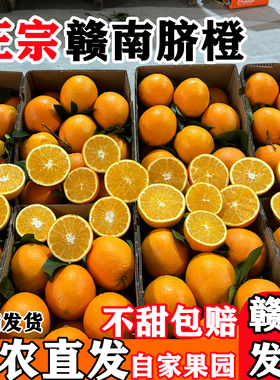 江西赣南脐橙新鲜正宗赣州安远橙子带叶发货9斤新鲜水果特大精品