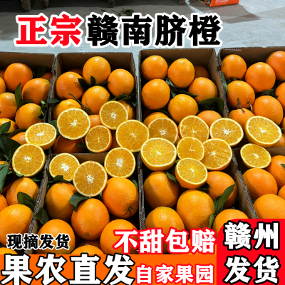 正宗赣南脐橙清甜多汁不甜包赔