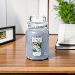 走马灯 送点火器 yankeecandle杨扬洋基香薰蜡烛623g大瓶22oz香芬