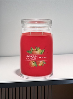 扬基麦金士苹果Macintosh红苹果花环Applewreath南瓜pumpkin