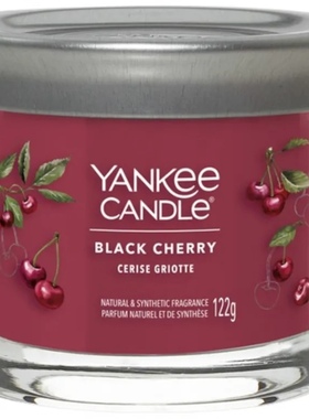 扬杨洋基yankee雅致手绘小瓶122g香氛精致大豆蜡基小蜡烛节日送礼