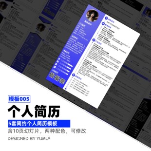 10套个人简历一页纸ppt模板原创中文排版简洁可修改简历排版美化