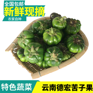 云南德宏特产新鲜苦子果500克傣族农家自种苦味野味蔬菜苦茄酸汤