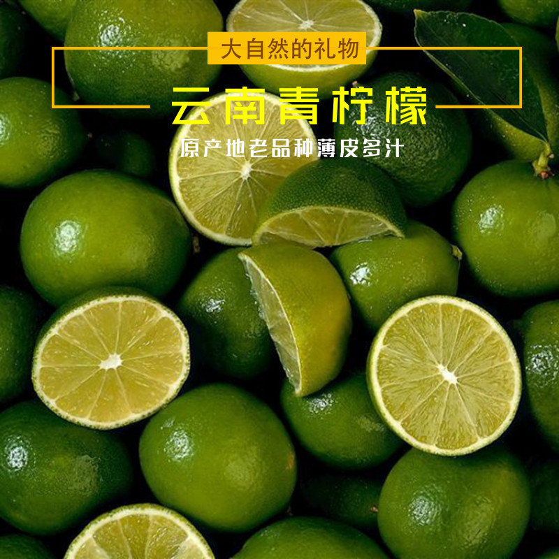 云南德宏热带水果青柠檬500克新鲜皮薄多汁酵素原生态天然现摘