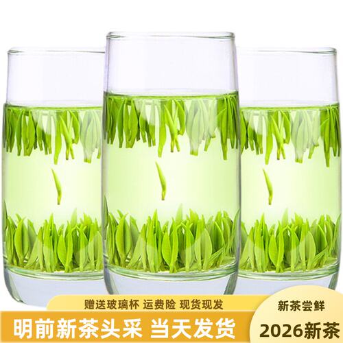 雀舌毛尖明前嫩芽叶单芽200g散装