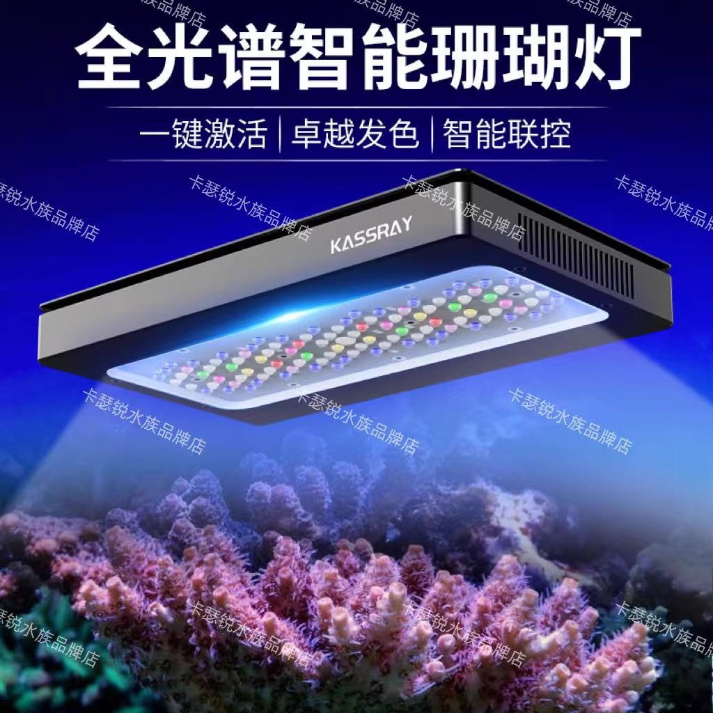 KASSRAY卡瑟锐珊瑚灯S240大功率