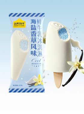 2026新品10支海盐香草冰淇淋