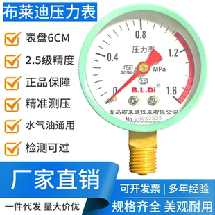 布莱迪水压力表Y60*1.6mpa(16公斤)水压 气压 油压 径向