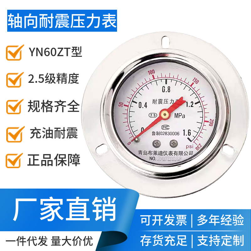 YN60ZT轴向带边压力表布莱迪抗震