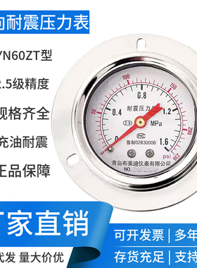 布莱迪轴向耐震油压压力表YN60ZT面板式背接气压表带边抗震真空