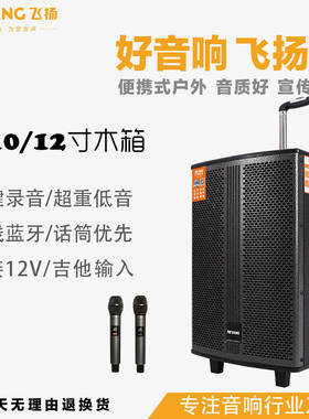 特美声飞扬0838户外广场舞拉杆音响无线话筒K歌消原音重低音音箱
