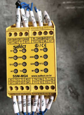 SAFECT继电器  SSM-MG4.询价