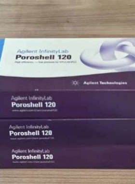 HPH-C18液相色谱柱。货号：693775-702，.询价