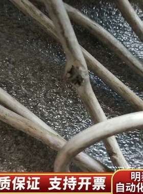 B&K2804，，片，询价