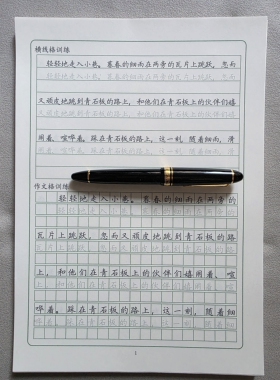 优美句子条格作文格训练卷面提高实用书写楷书入门教程