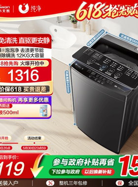 小天鹅除螨波轮家用租房12KG大容量全自动洗脱变频洗衣机1809DT