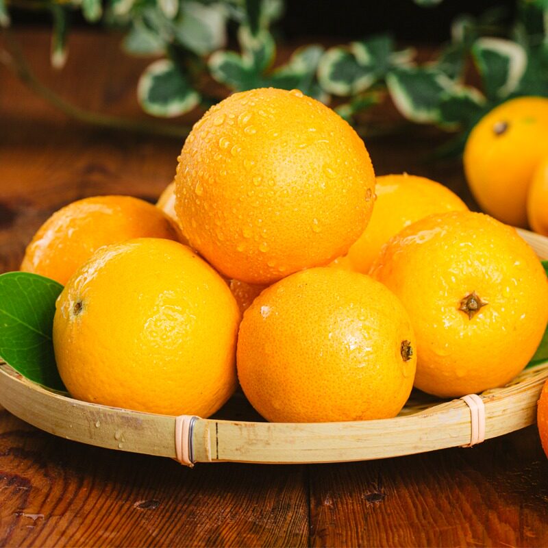 新宁新鲜崀山脐橙5斤装大果现摘当季水果孕妇整箱包邮橙子非赣南